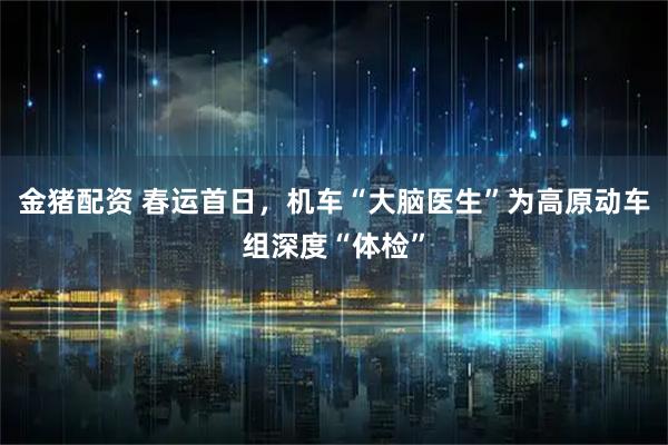 金猪配资 春运首日，机车“大脑医生”为高原动车组深度“体检”