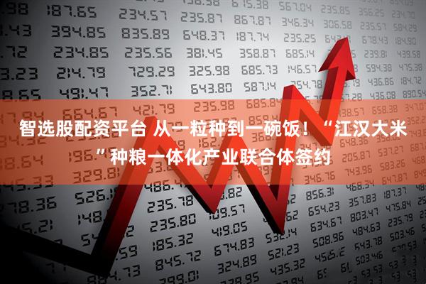 智选股配资平台 从一粒种到一碗饭！“江汉大米”种粮一体化产业联合体签约