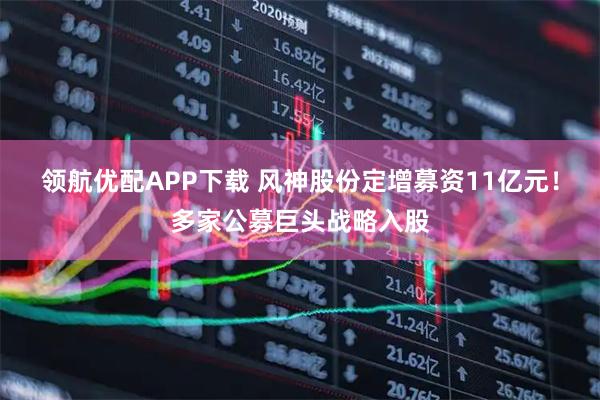 领航优配APP下载 风神股份定增募资11亿元！多家公募巨头战略入股